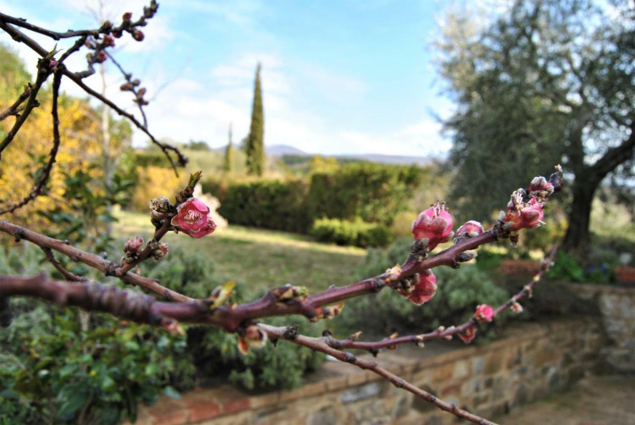 Casa Fioranna Villa Seggiano Exterior photo